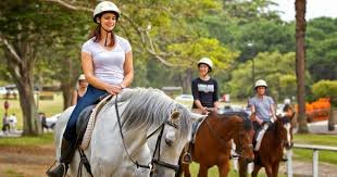 Horse Riding Lessons