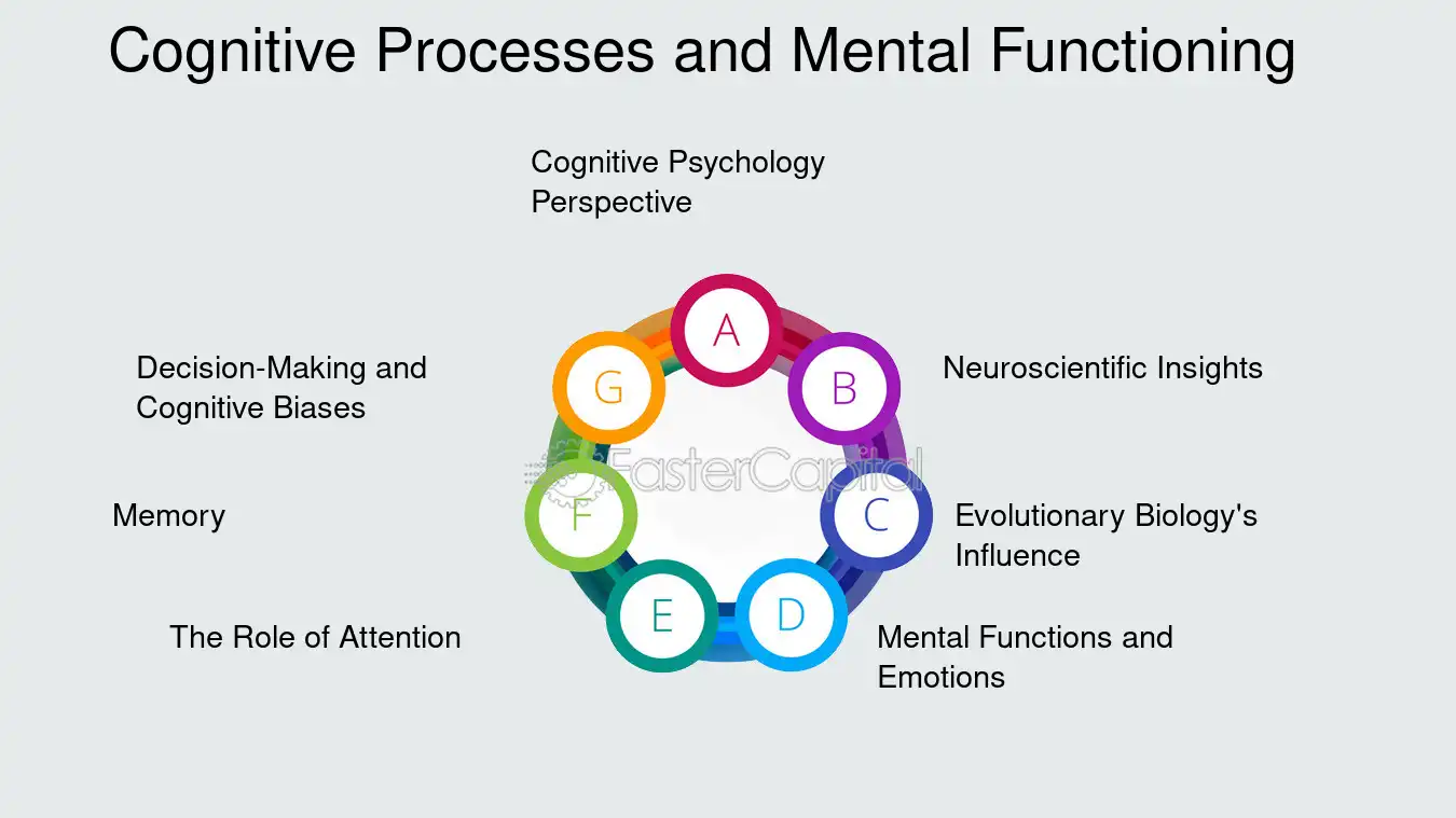 cognitive psychology focuses on studying
