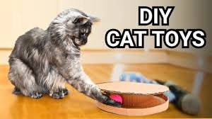 diy cat toys