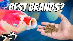 fish food