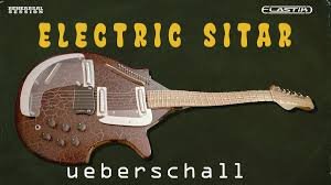 electric sitar