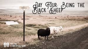 black sheep of the family